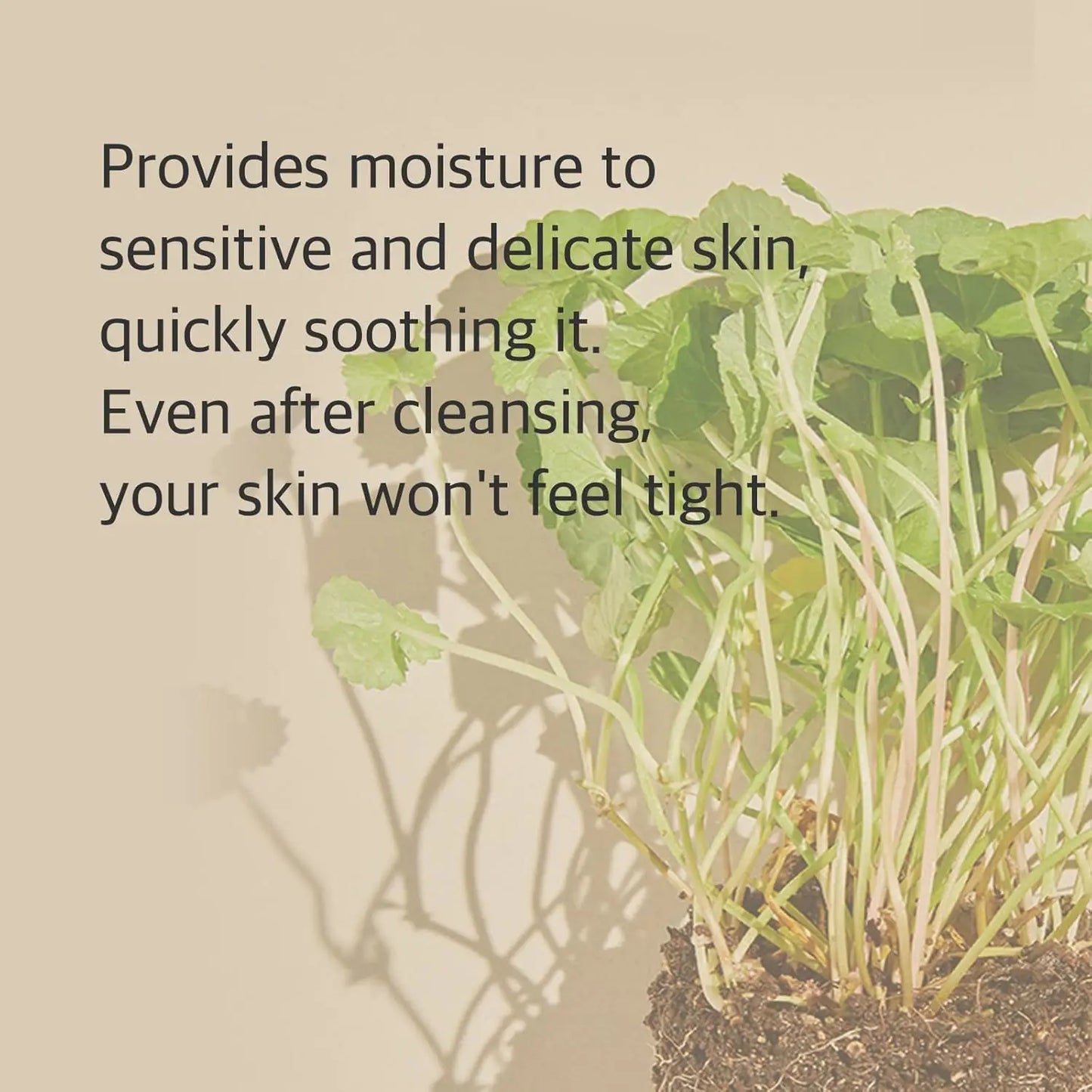 Mixsoon Centella Espuma Limpiadora – 150 ml